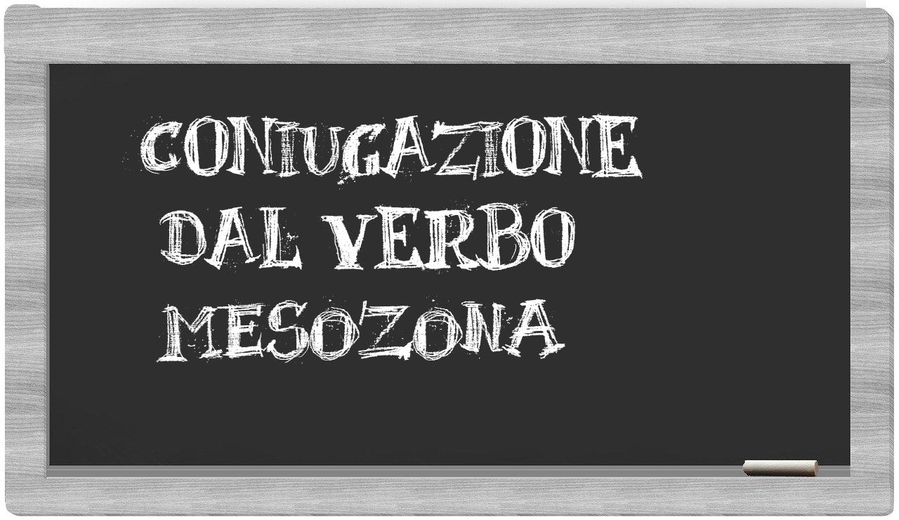 ¿mesozona en sílabas?